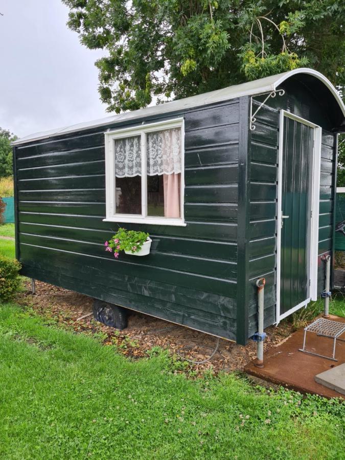 Beemsterlust Bed & Breakfast